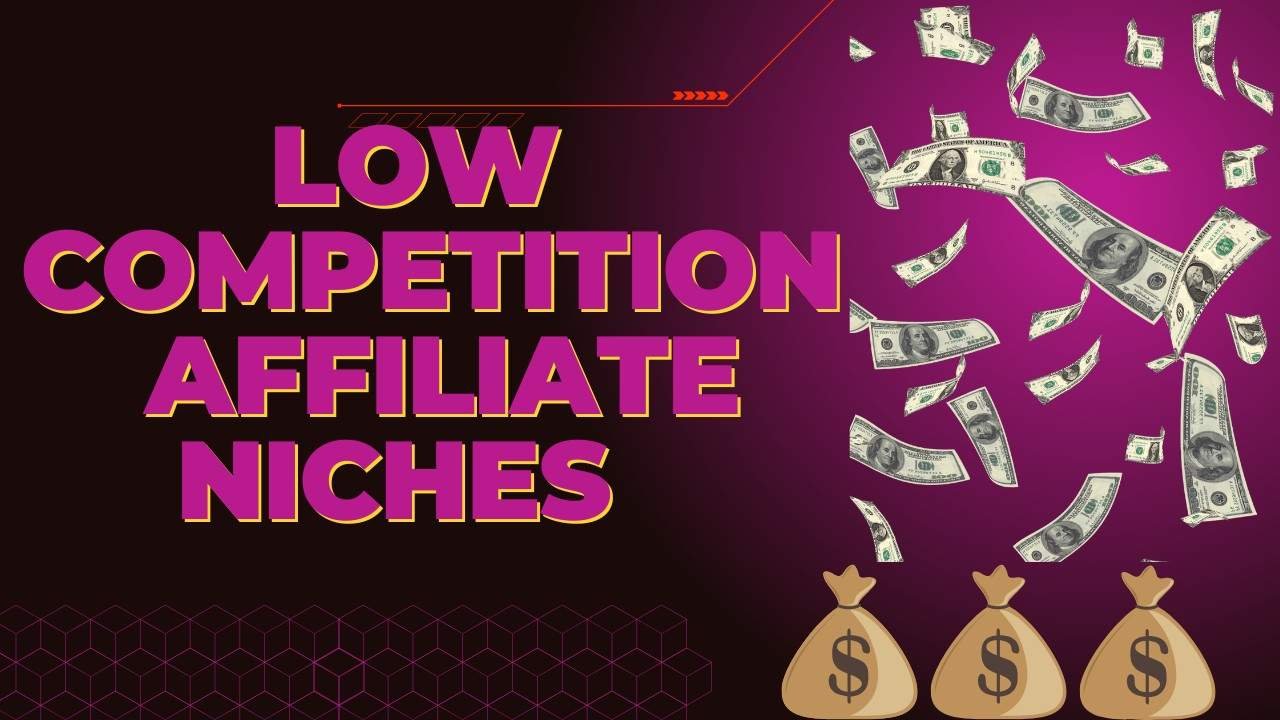 Low-Competition Affiliate Niches That Make Real Profit.